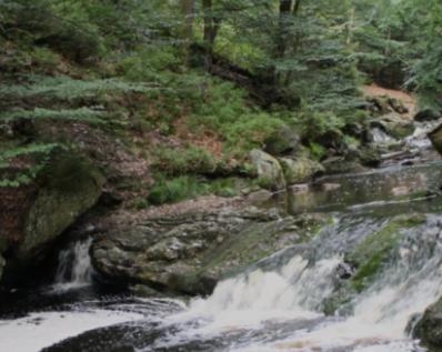 Gite Ardennes Au Coin Du Feu Jacuzzi Sauna Et Nature Jalhay Bagian luar foto