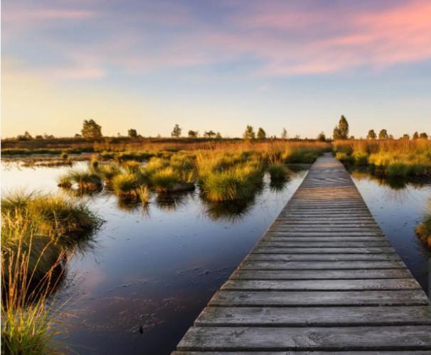 Gite Ardennes Au Coin Du Feu Jacuzzi Sauna Et Nature Jalhay Bagian luar foto